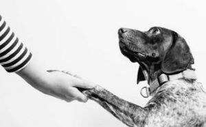 personalization goes nowhere without trust | Personalization goes nowhere without trust