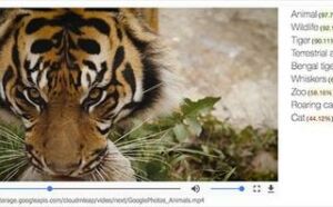 youtube launches next phase of program to tag items within video clips | YouTube launches next phase of program to tag items within video clips