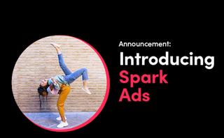 TikTok launches native ad format with Spark Ads
