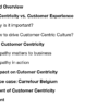 Customer Centricity Blue Paper
